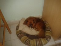 Bild10