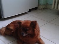 Bild11