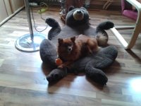 Bild12