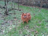 Bild14
