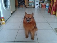 Bild15