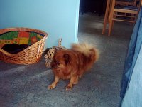 Bild2