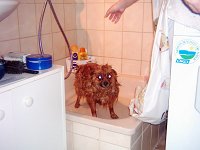 Bild3