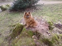 Bild8